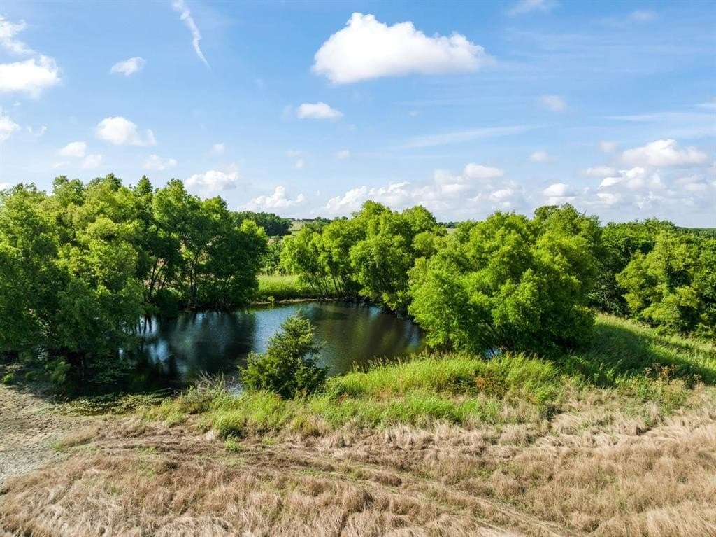 80 acres in Lamar County - photo 3