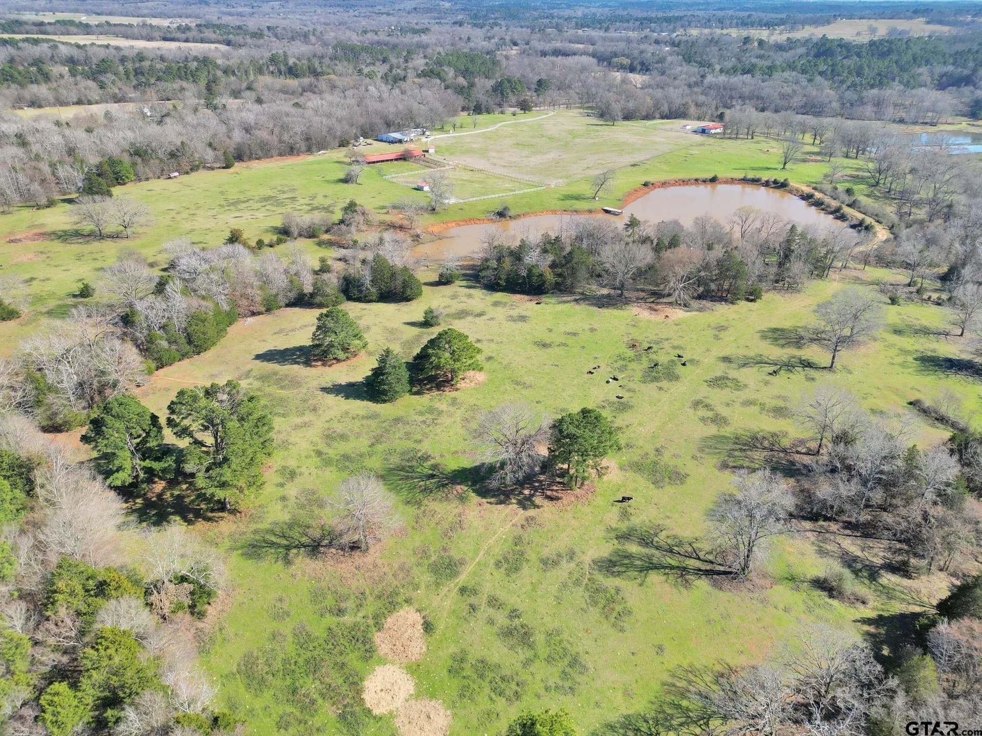 125 acres in Smith County - photo 18