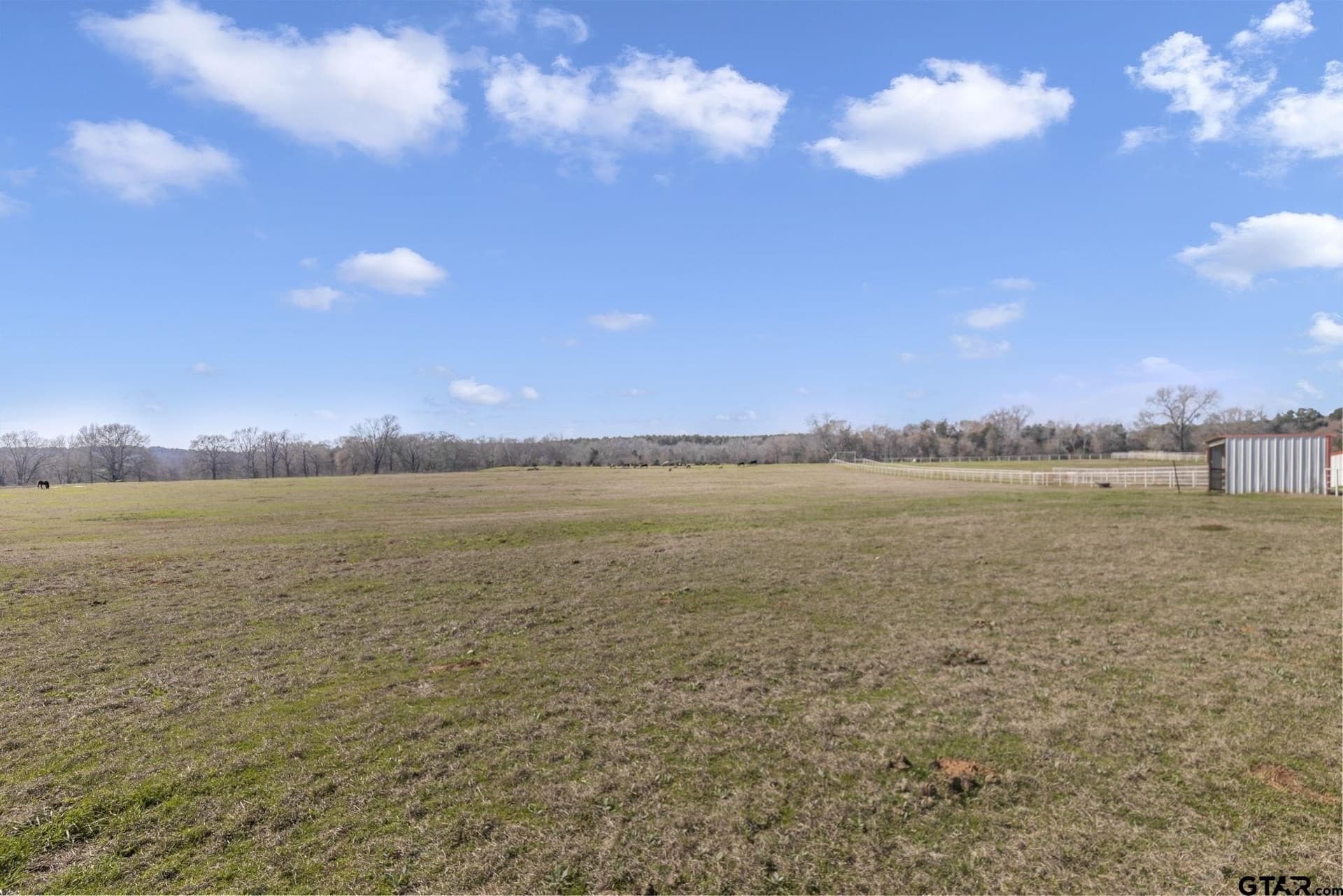 125 acres in Smith County - photo 26