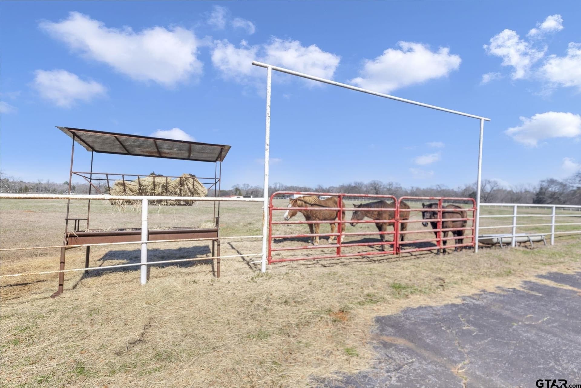 125 acres in Smith County - photo 2