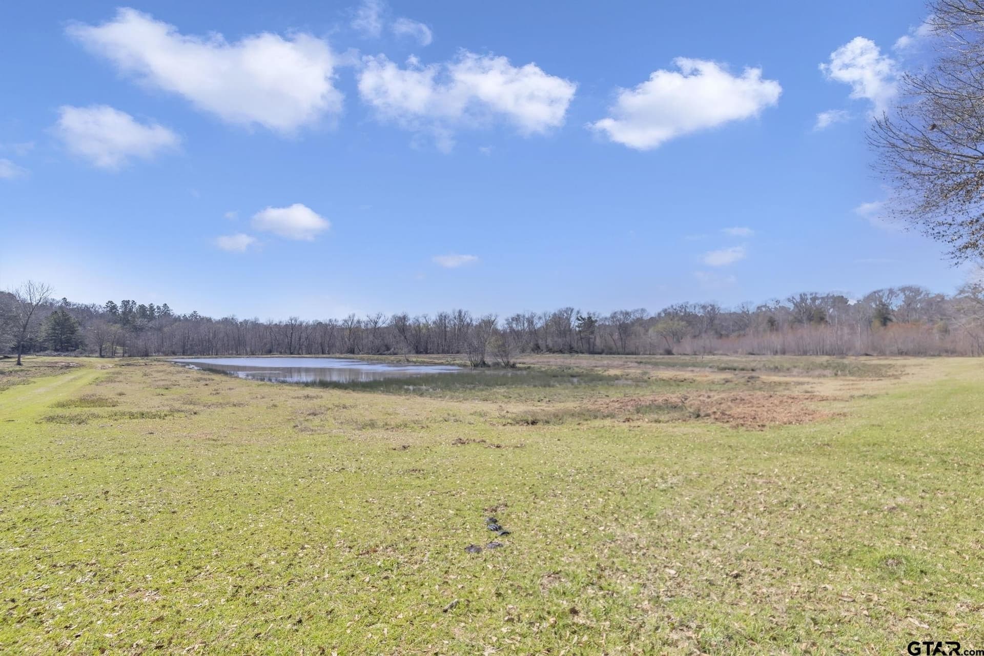 125 acres in Smith County - photo 27