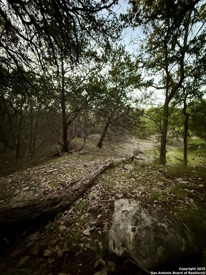 2 acres in Comal County - photo 5