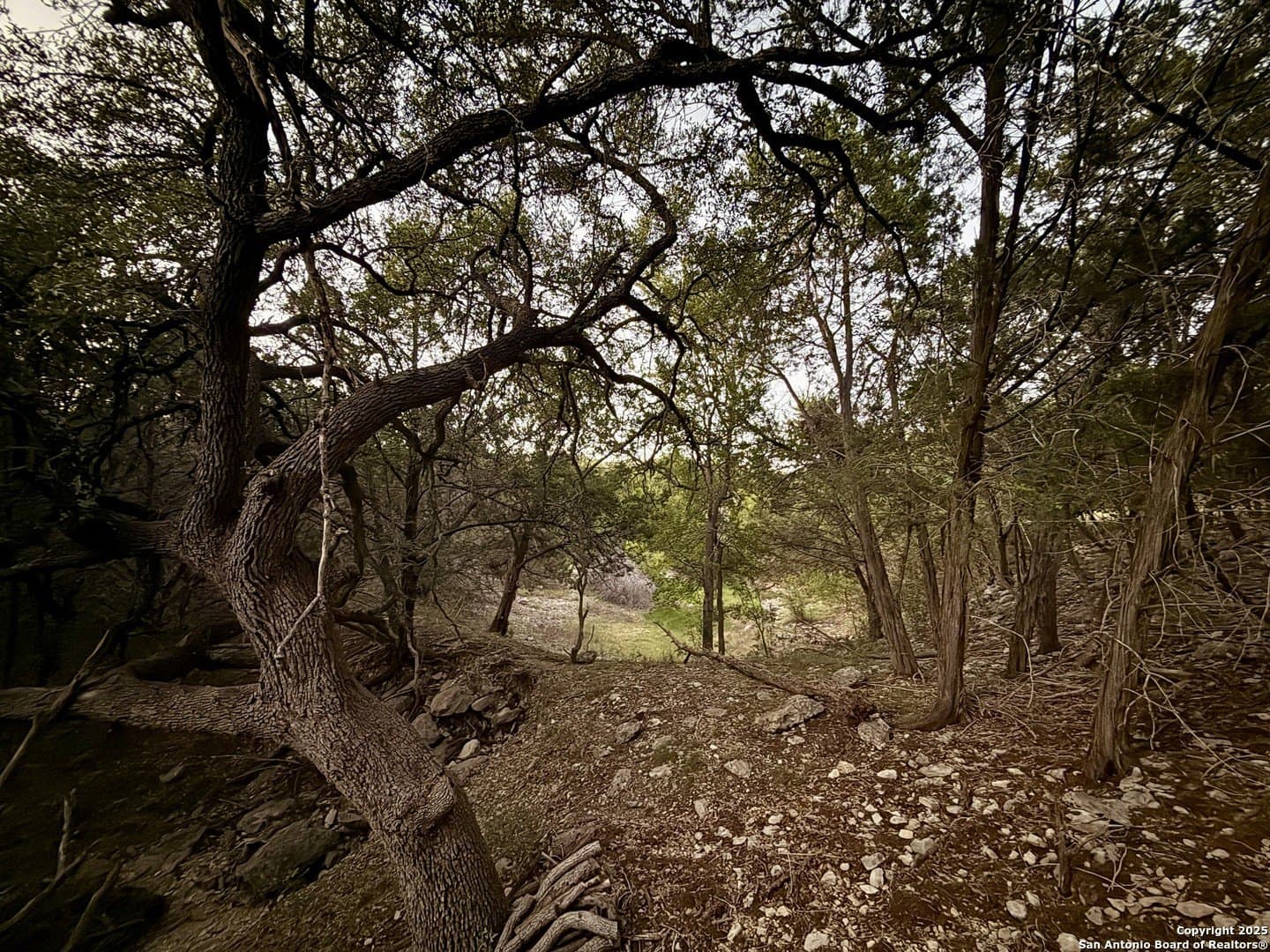 2 acres in Comal County - photo 6