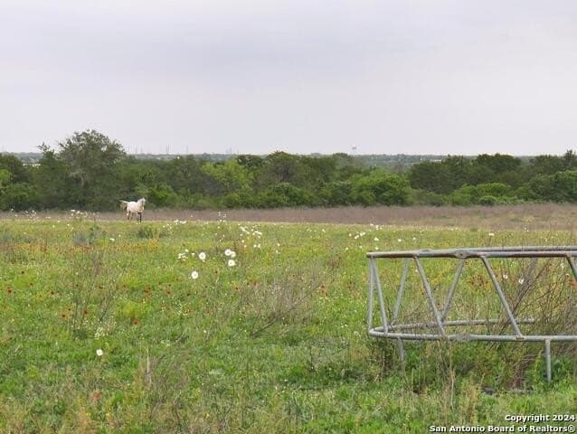 29 acres in Medina County - photo 7