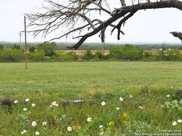 29 acres in Medina County - photo 41