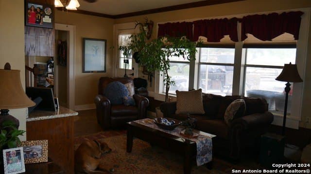 29 acres in Medina County - photo 24