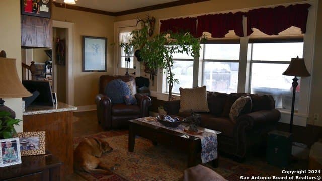 29 acres in Medina County - photo 23