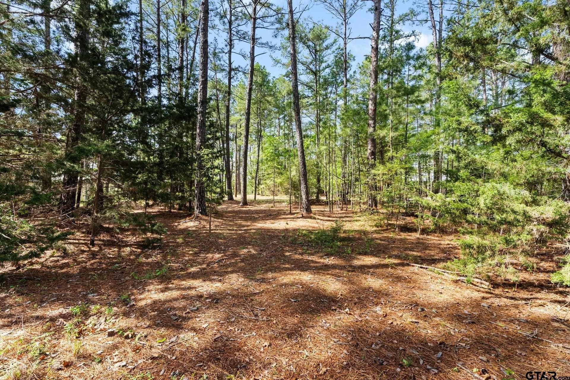14 acres in Cherokee County - photo 42