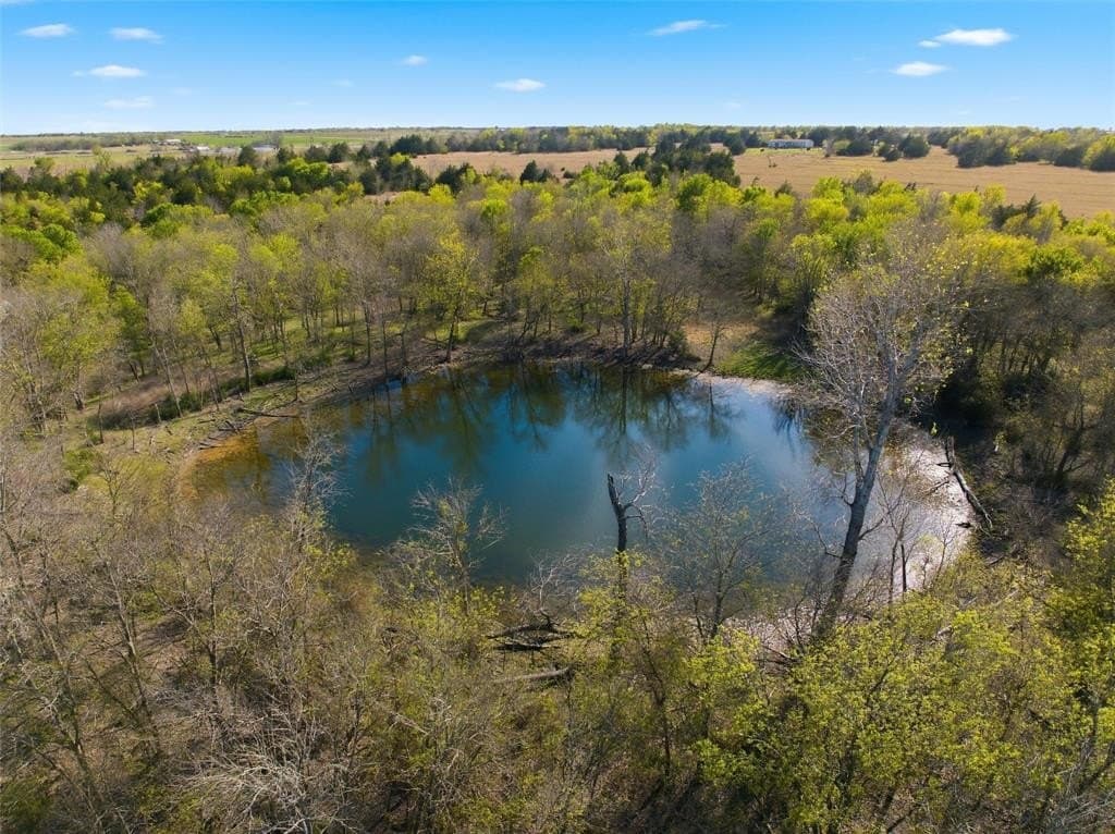 66.11 acres in Falls County - photo 3