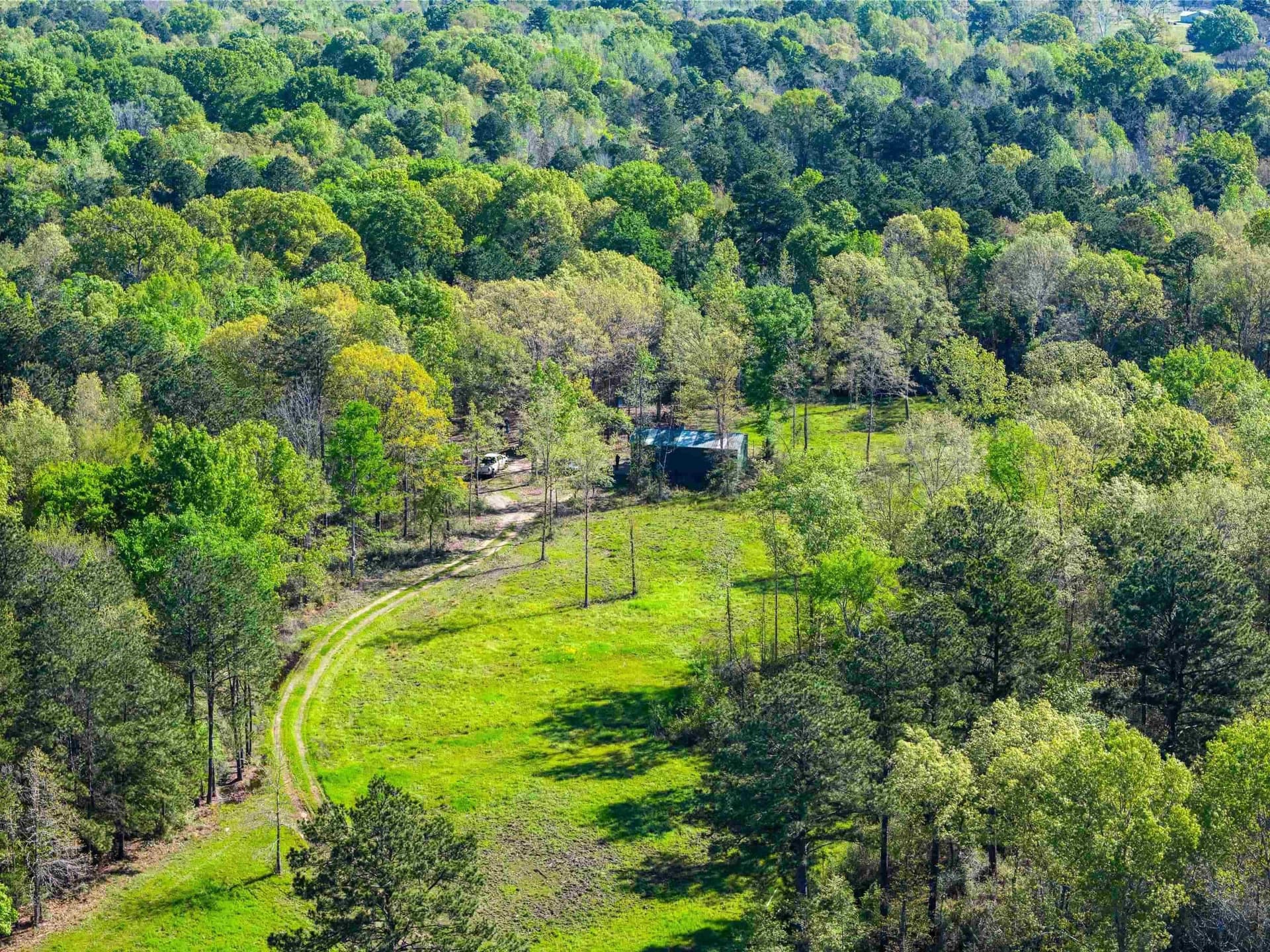 53.92 acres in Panola County - photo 2