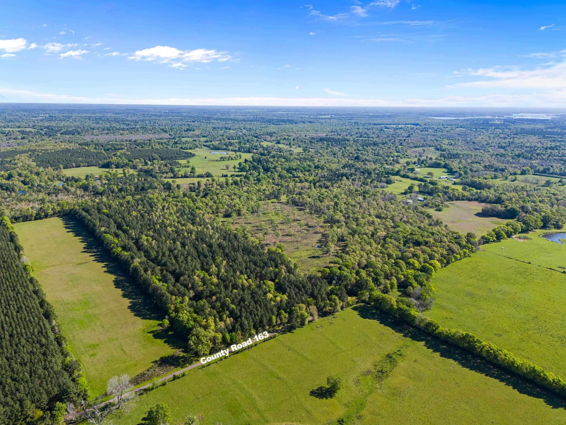 53.92 acres in Panola County - photo 11