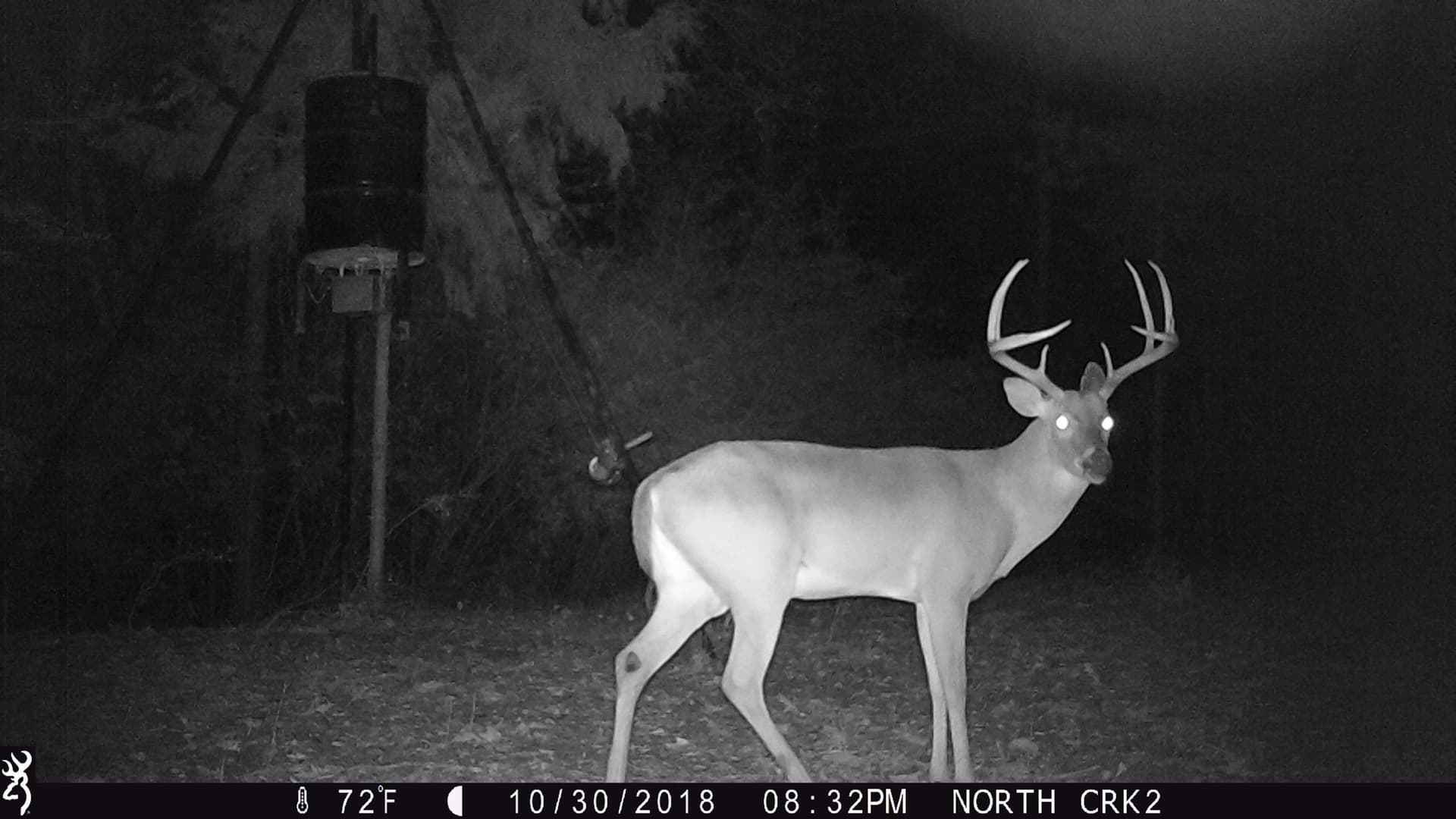53.92 acres in Panola County - photo 24