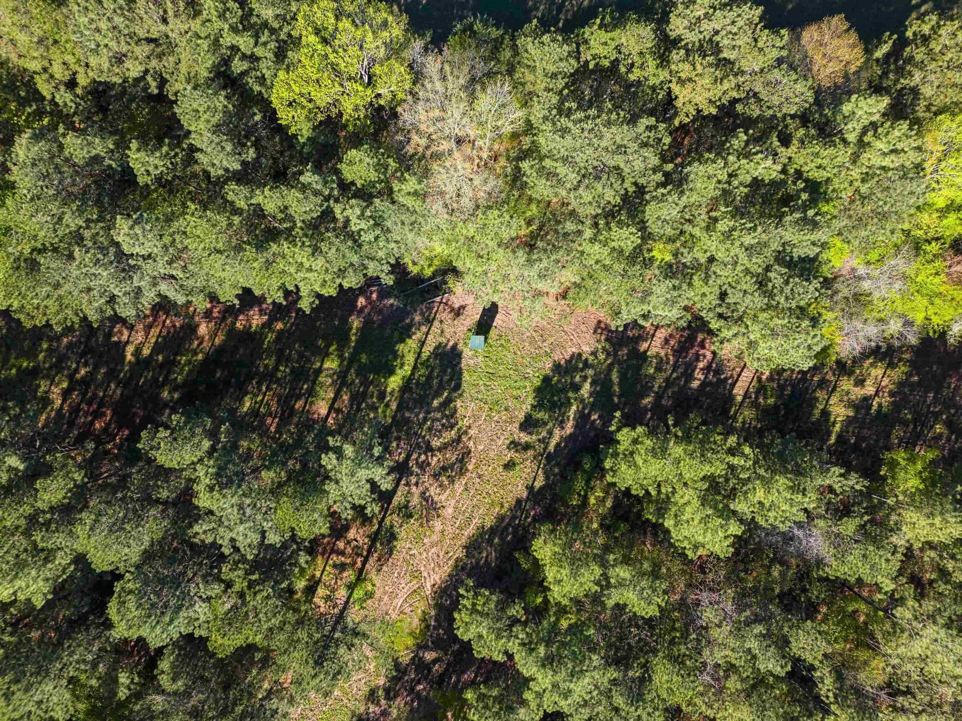 53.92 acres in Panola County - photo 12