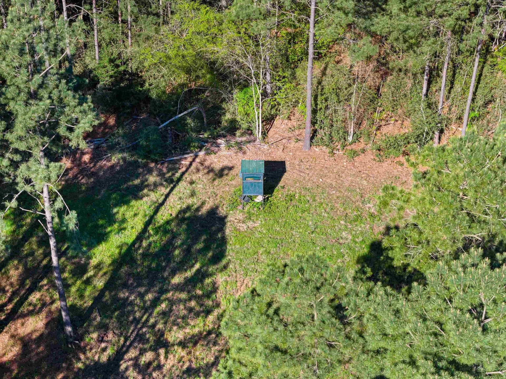 53.92 acres in Panola County - photo 8