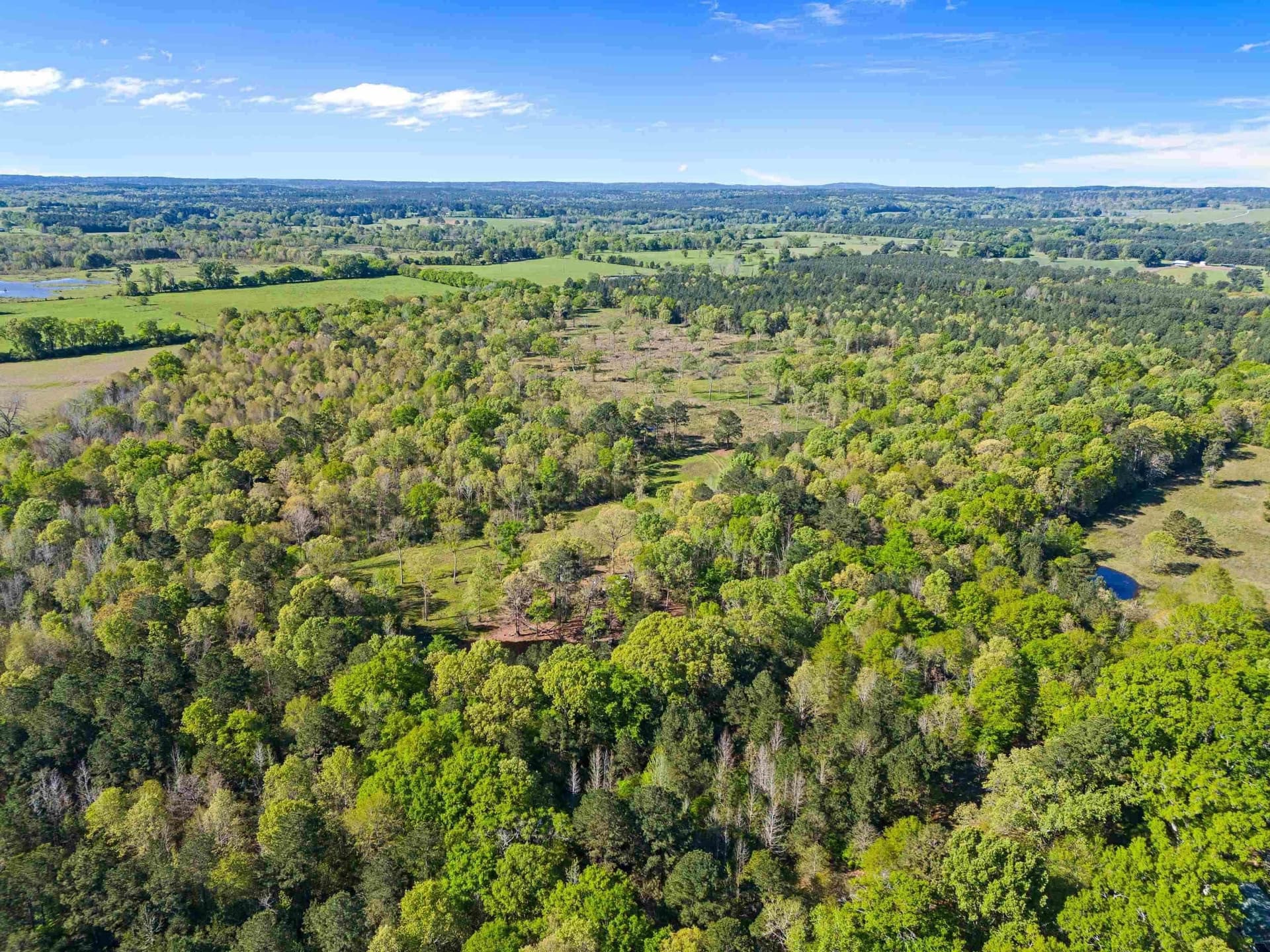 53.92 acres in Panola County - photo 9