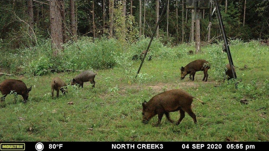 53.92 acres in Panola County - photo 25