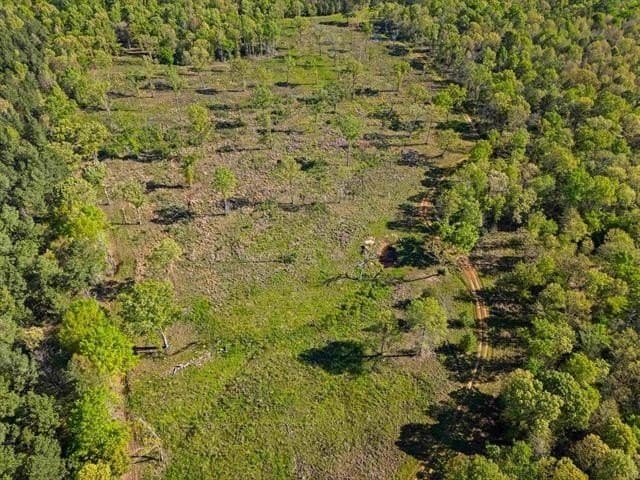 53.92 acres in Panola County - photo 7