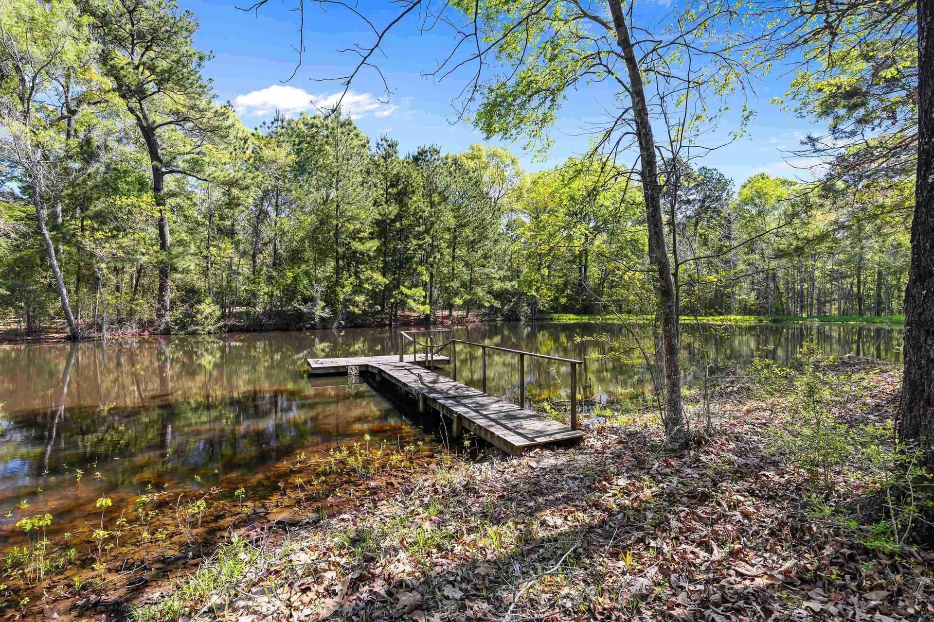 53.92 acres in Panola County - photo 16
