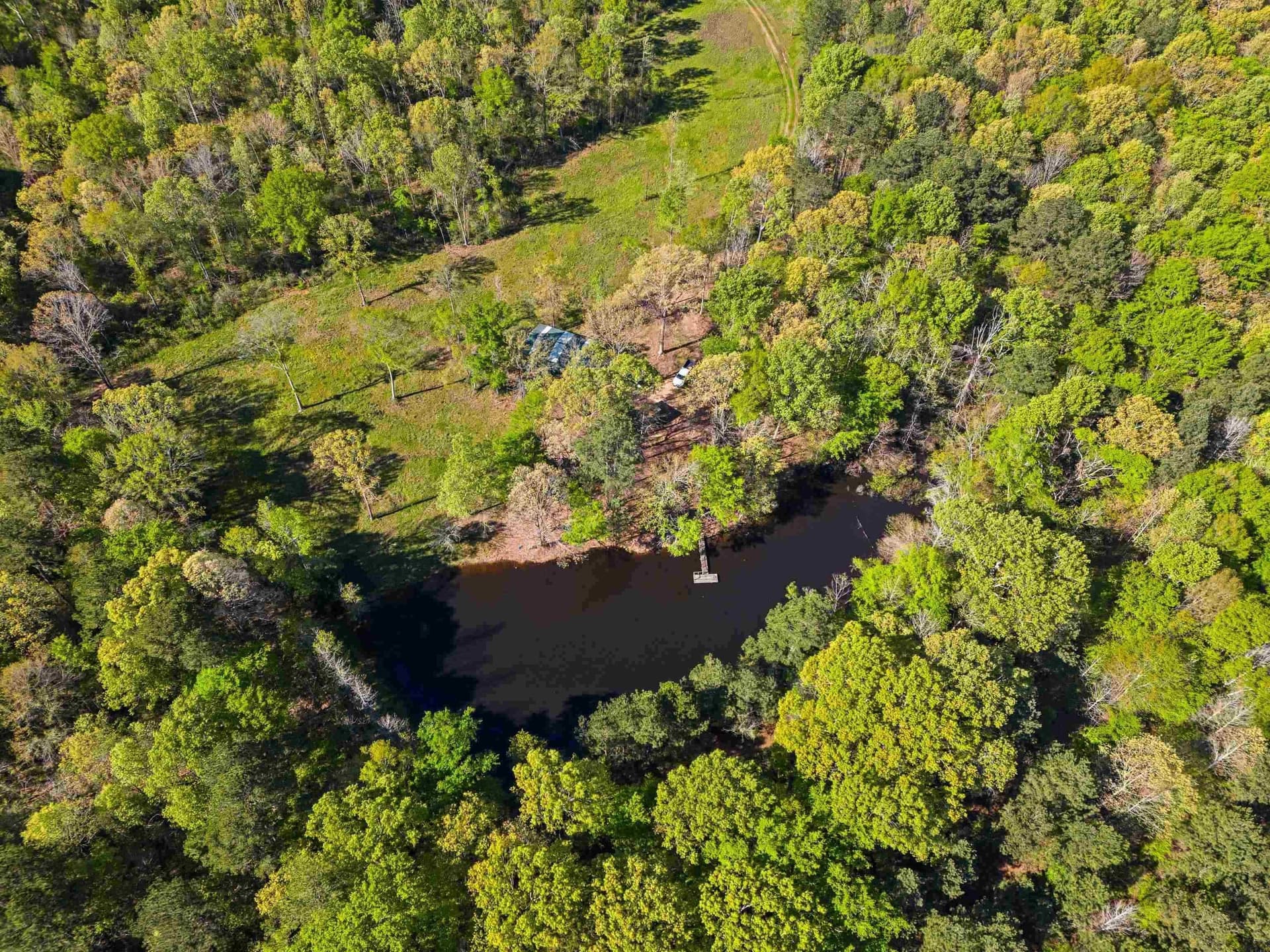 53.92 acres in Panola County - photo 3