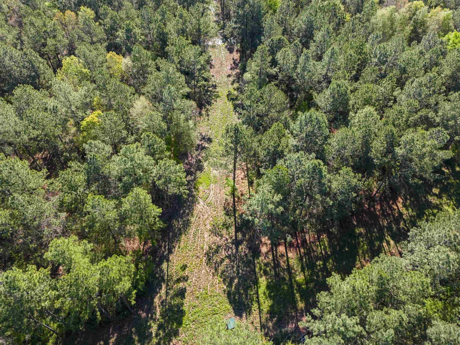 53.92 acres in Panola County - photo 22