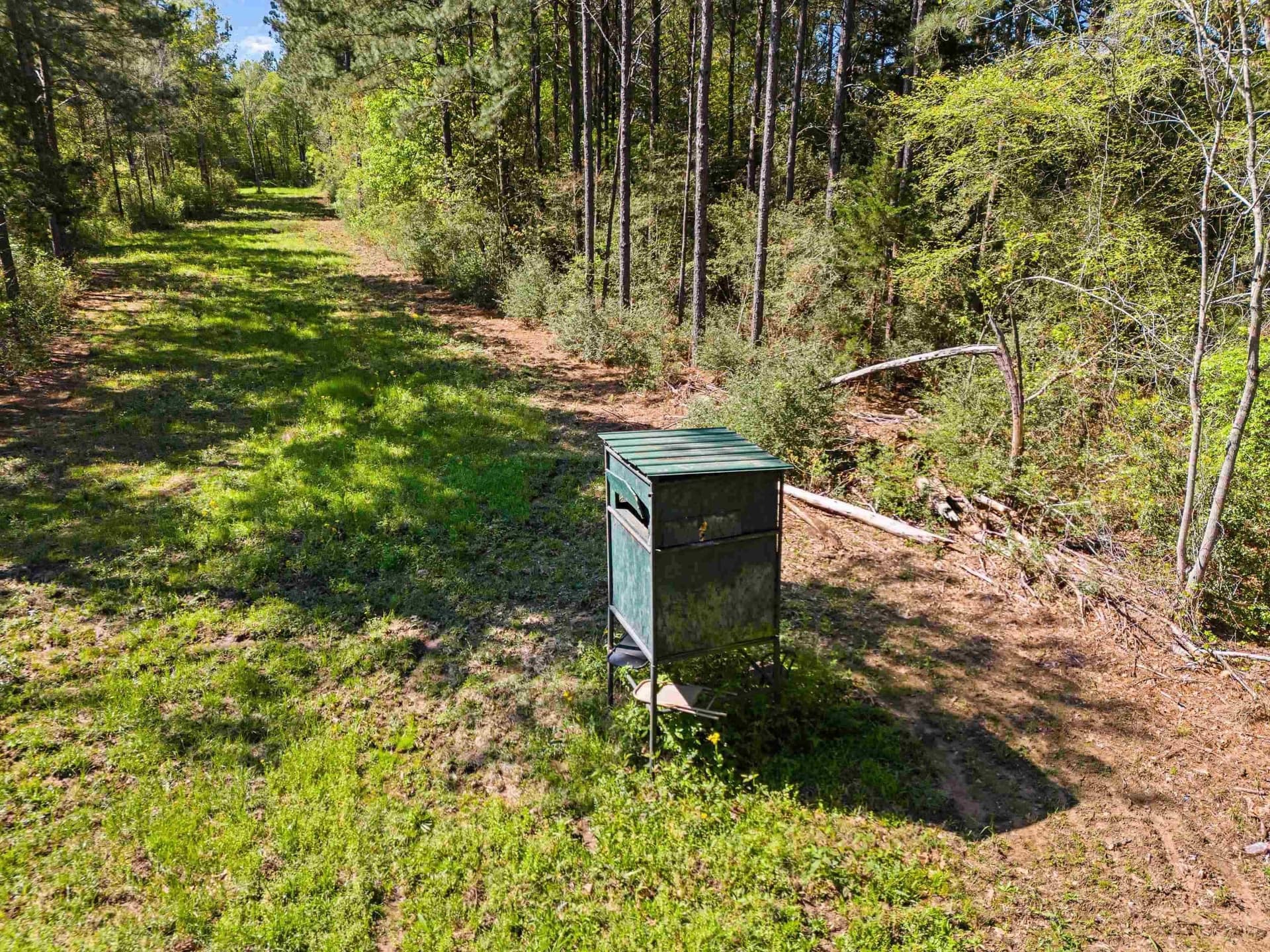53.92 acres in Panola County - photo 14