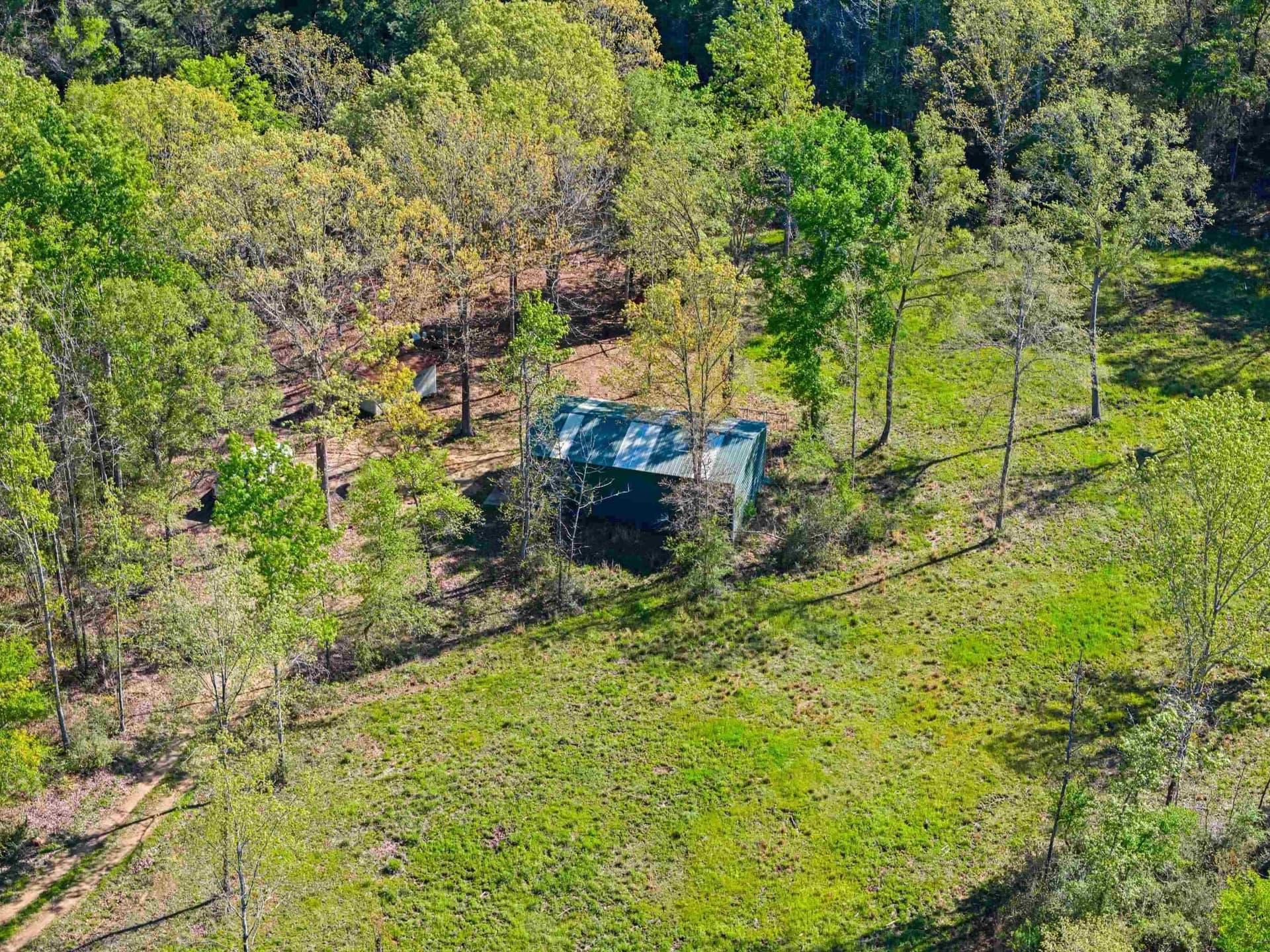 53.92 acres in Panola County - photo 21