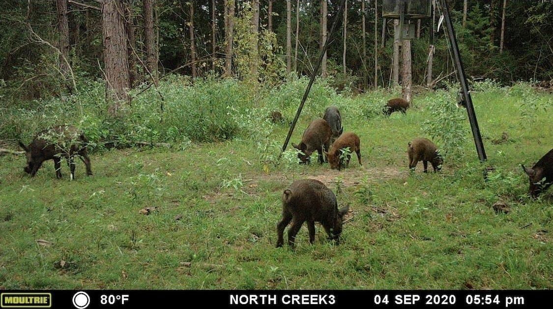 53.92 acres in Panola County - photo 26