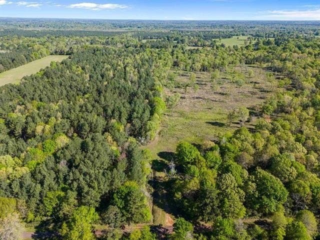 53.92 acres in Panola County - photo 10