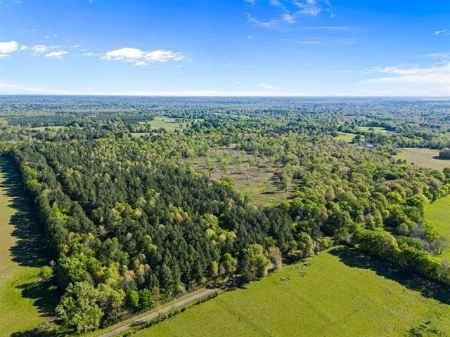 53.92 acres in Panola County - photo 23