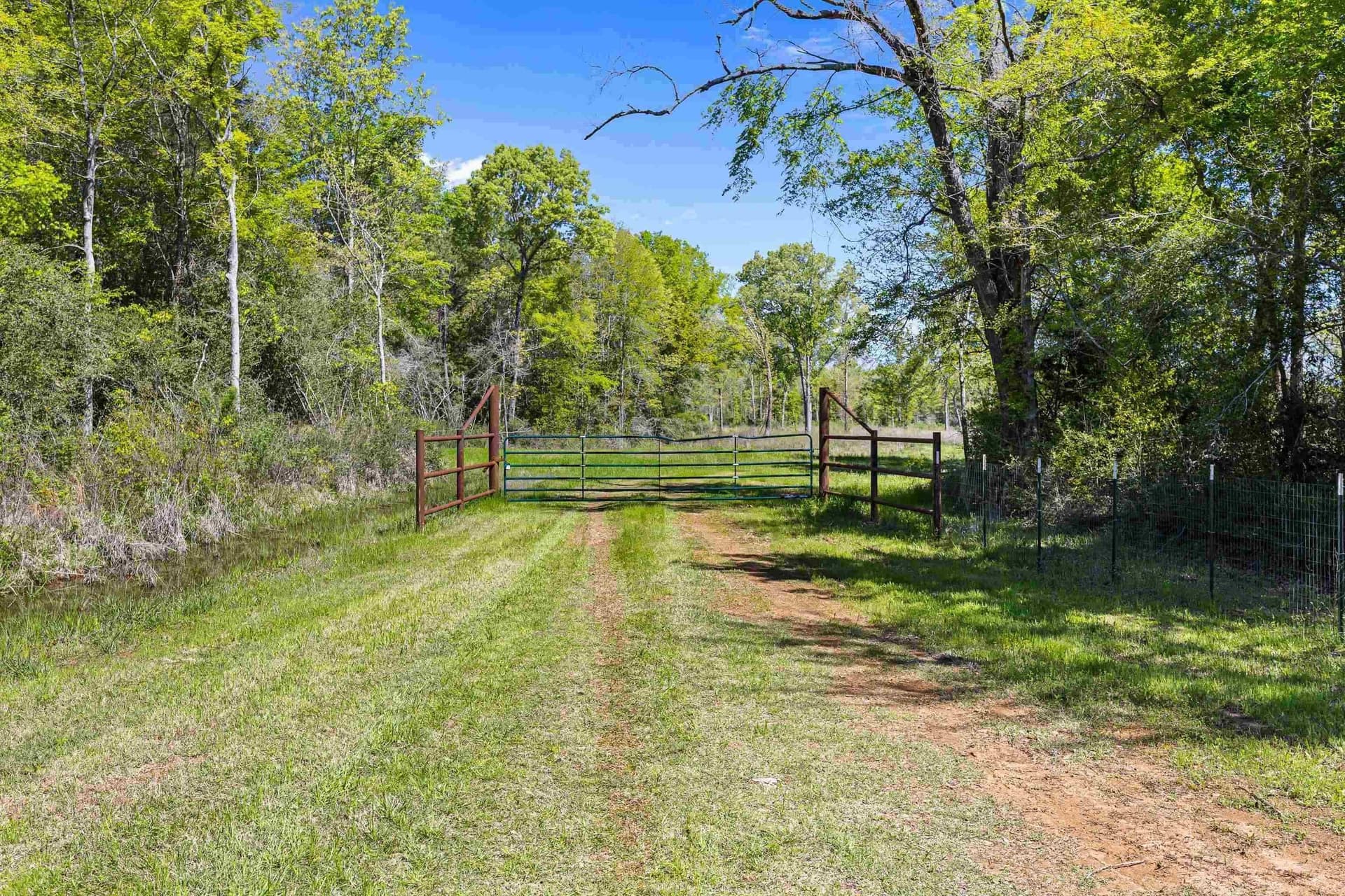 53.92 acres in Panola County - photo 15