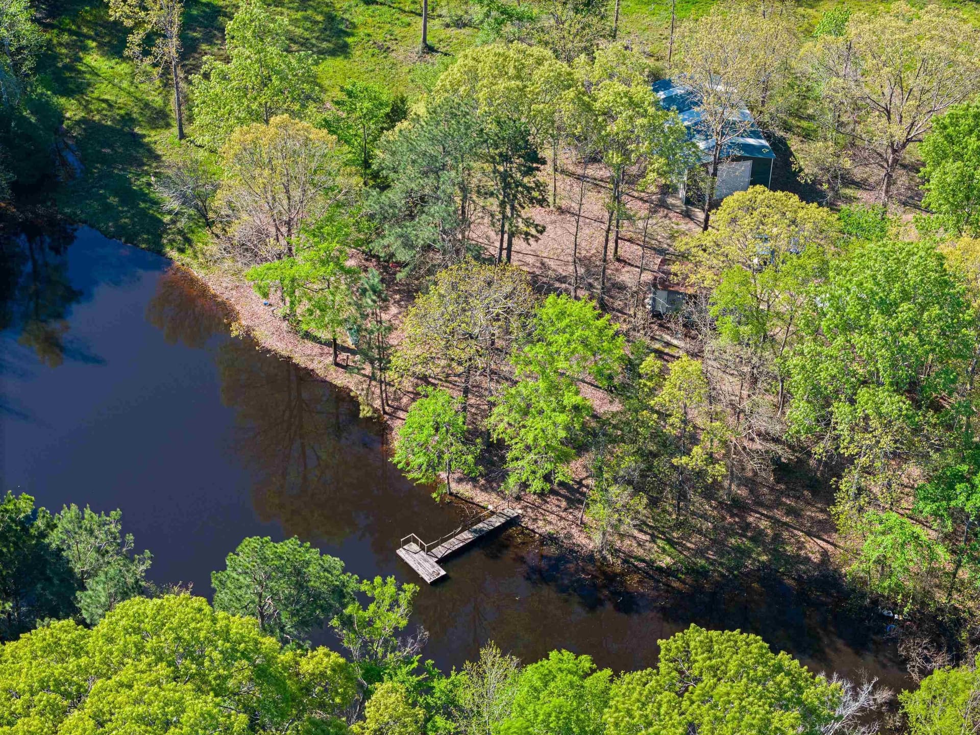 53.92 acres in Panola County - photo 4