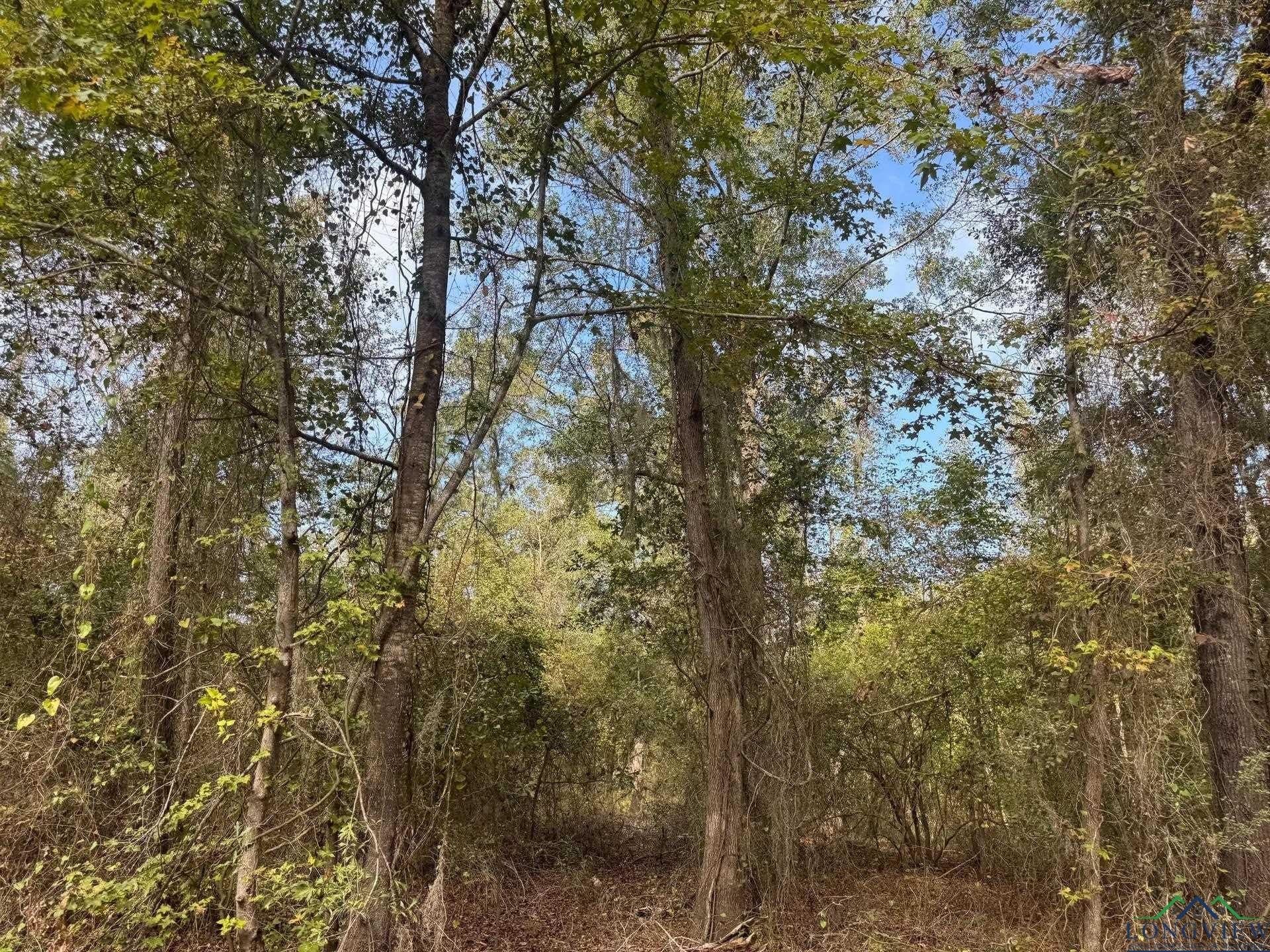 0.36 acres in Harrison County - photo 9