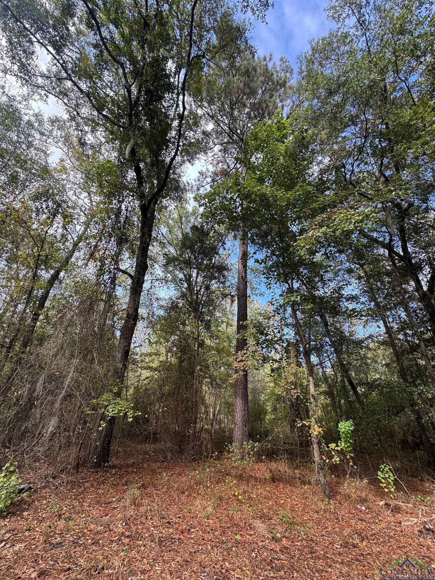 0.36 acres in Harrison County - photo 7