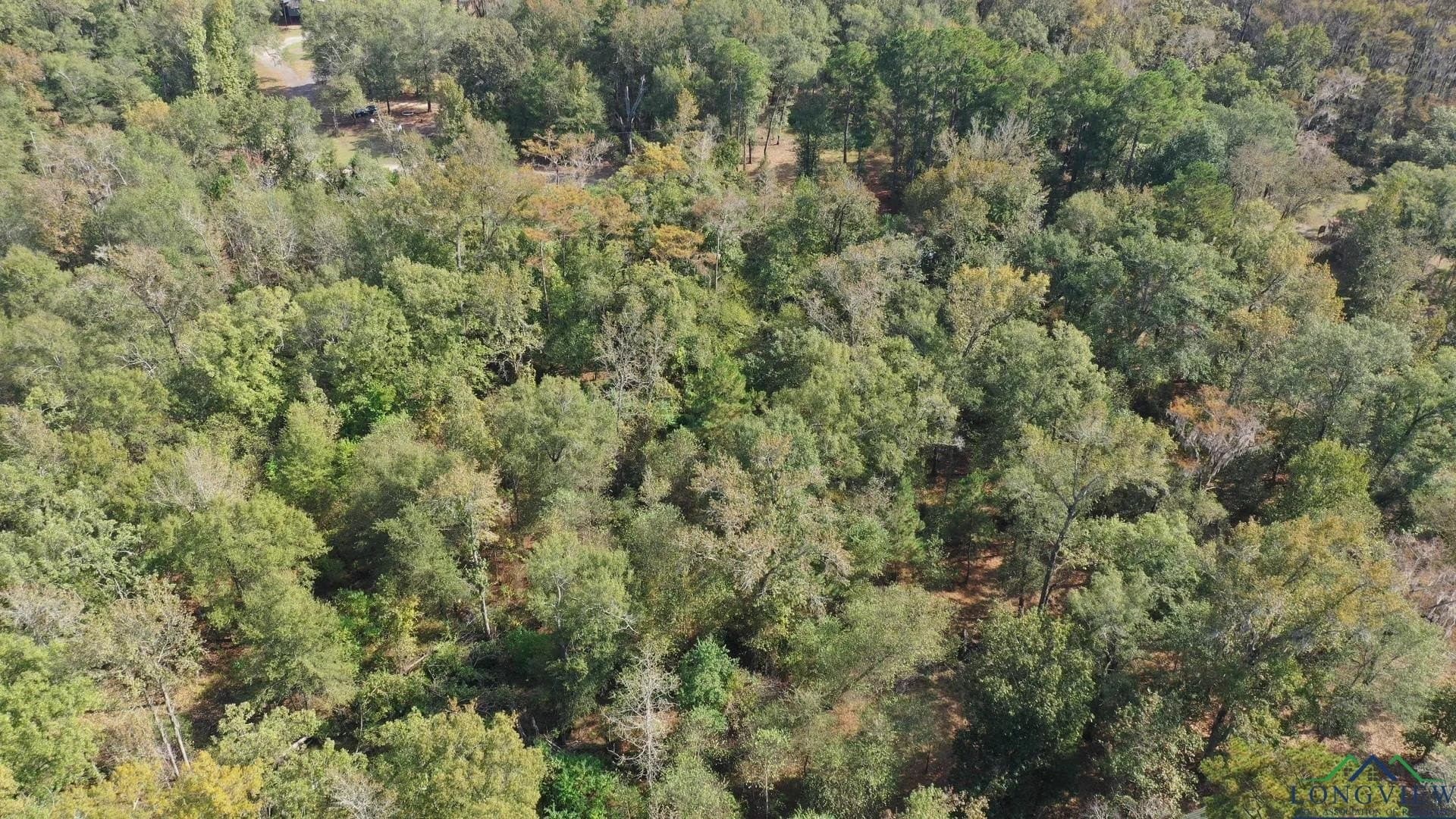 0.36 acres in Harrison County - photo 4