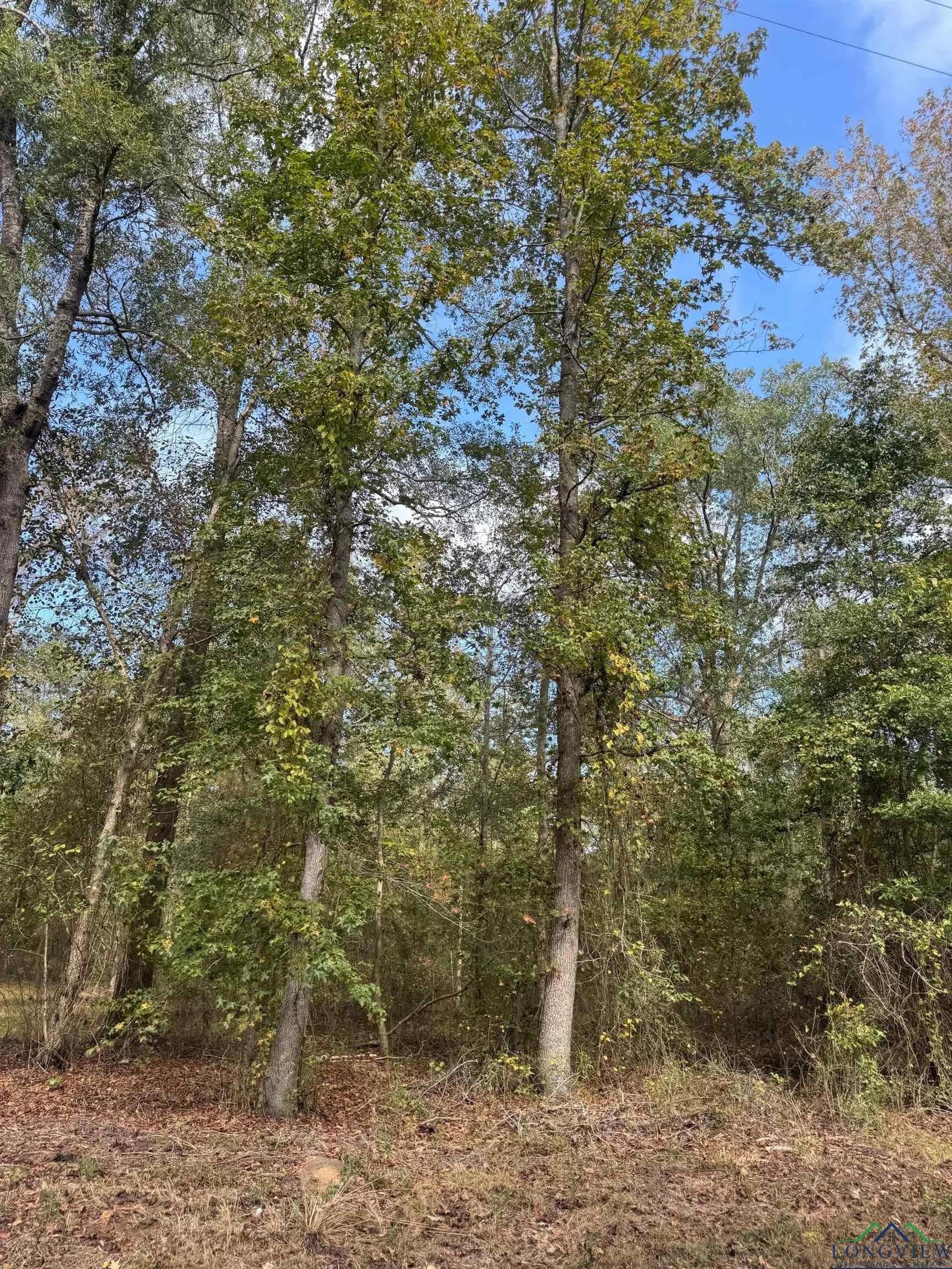 0.36 acres in Harrison County - photo 8