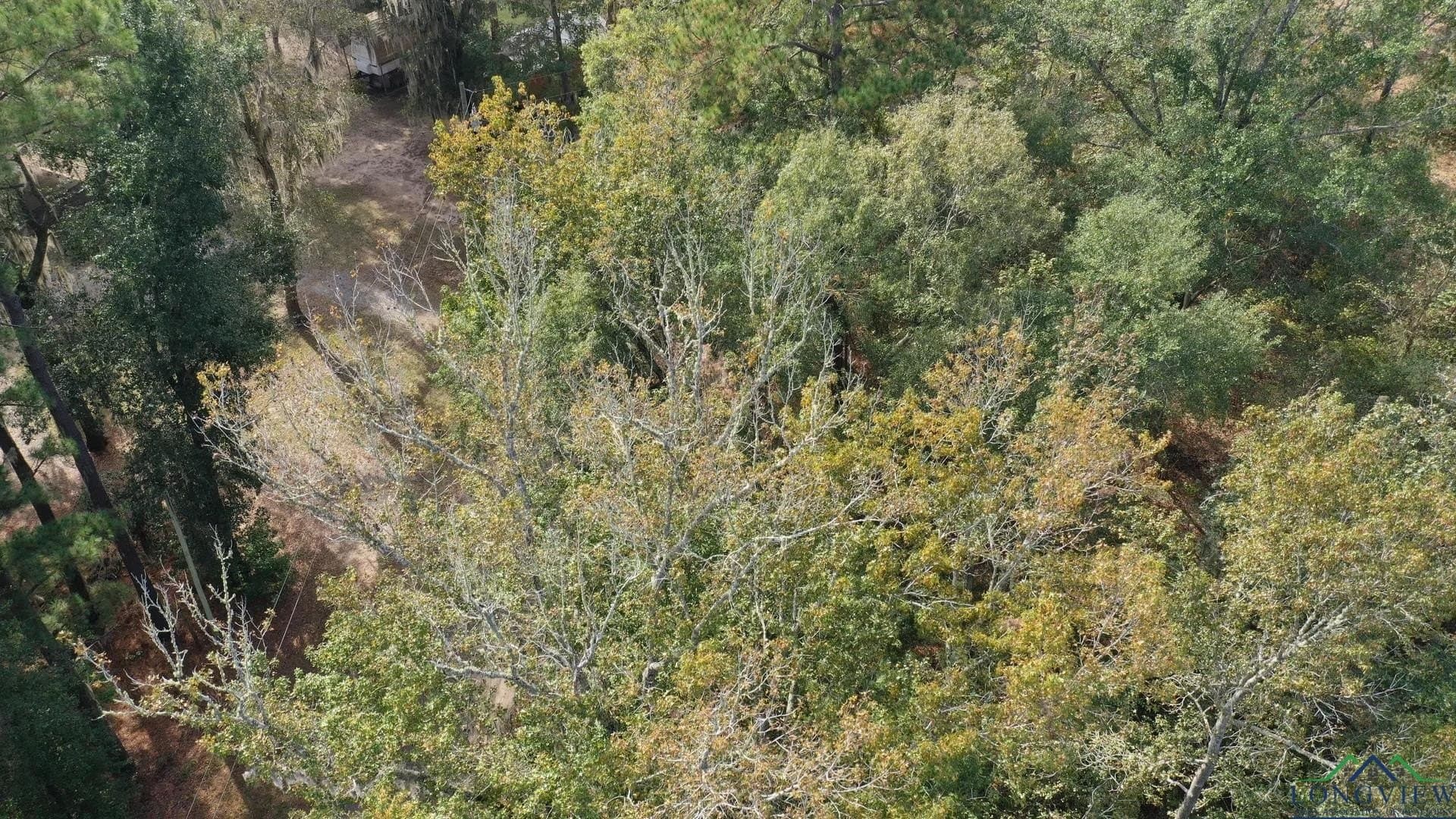 0.36 acres in Harrison County - photo 5