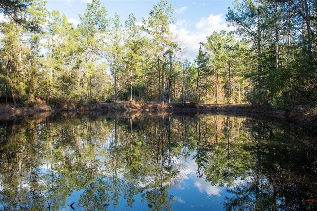 70 acres in Polk County - photo 18
