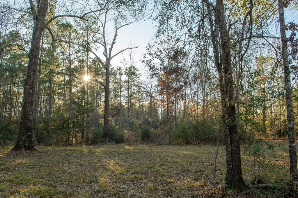 70 acres in Polk County - photo 10