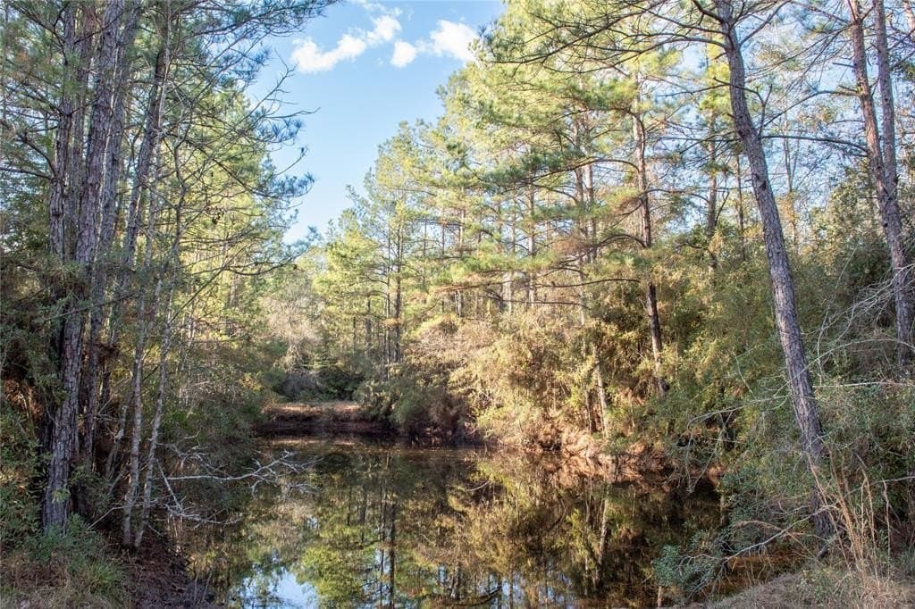 70 acres in Polk County - photo 6