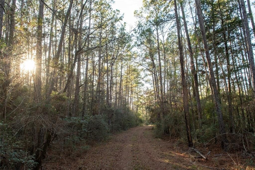 70 acres in Polk County - photo 11