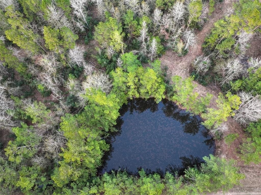 70 acres in Polk County - photo 19