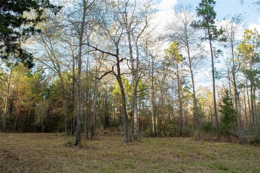 70 acres in Polk County - photo 2