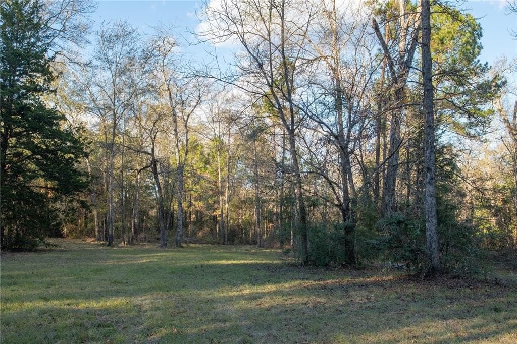 70 acres in Polk County - photo 23