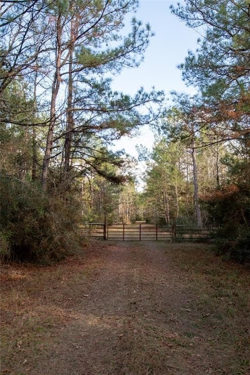 70 acres in Polk County - photo 4