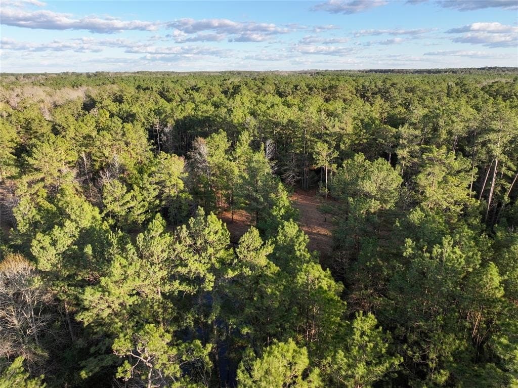 70 acres in Polk County - photo 26