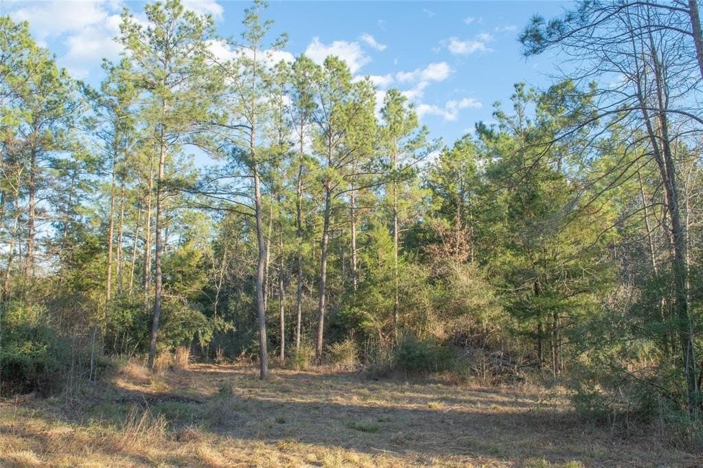 70 acres in Polk County - photo 3