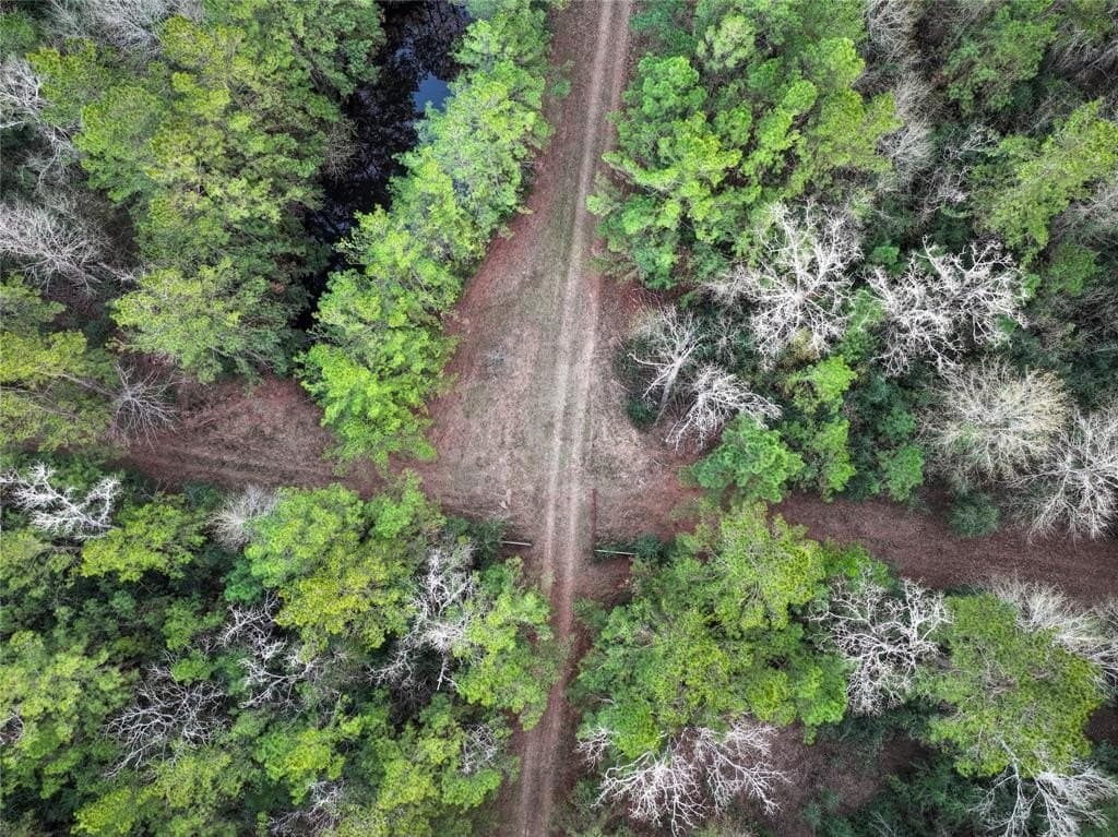 70 acres in Polk County - photo 5