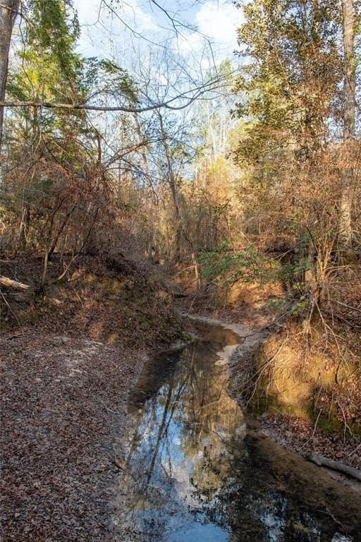 70 acres in Polk County - photo 16