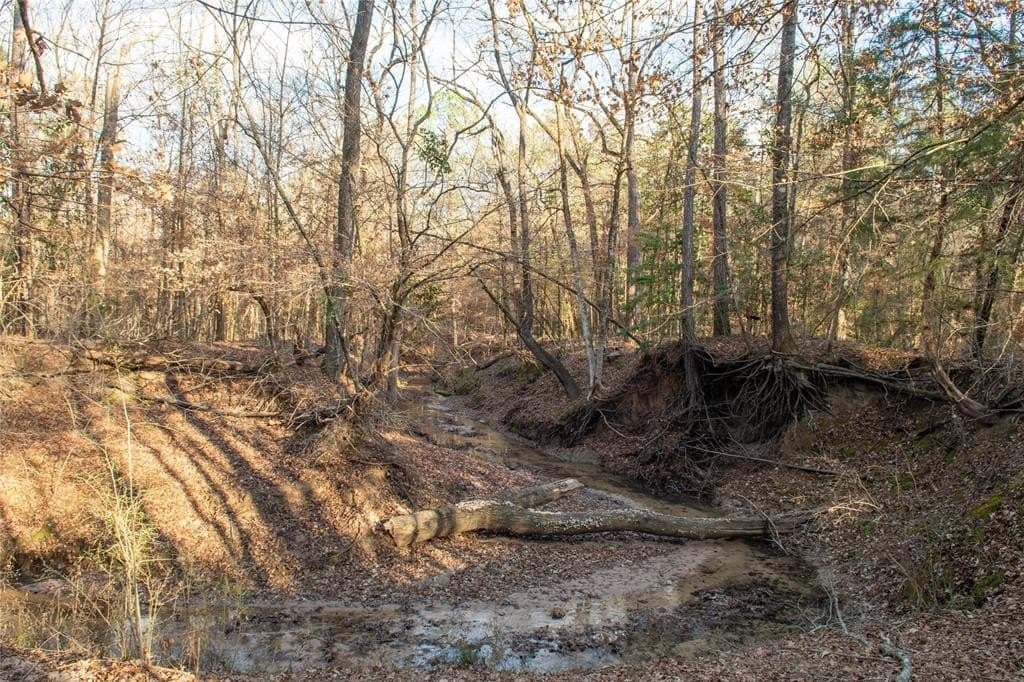 70 acres in Polk County - photo 9