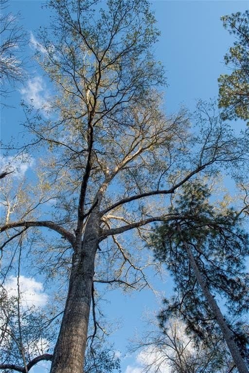 70 acres in Polk County - photo 20